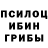Псилоцибиновые грибы Psilocybine cubensis Sedoi Bartolo