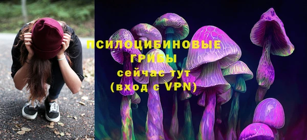 тгк Надым